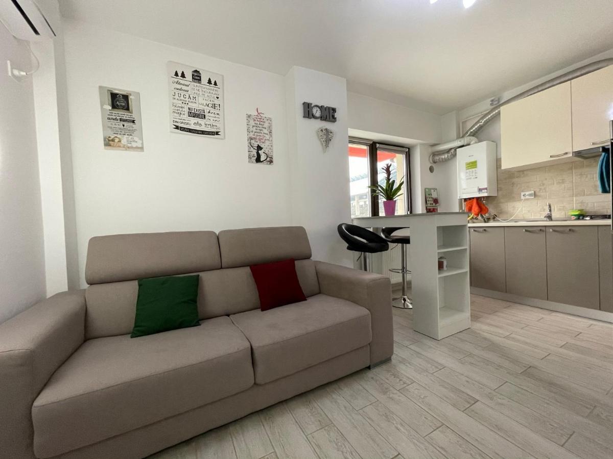 Renting Solutions Iulius Mall Iasi Luaran gambar